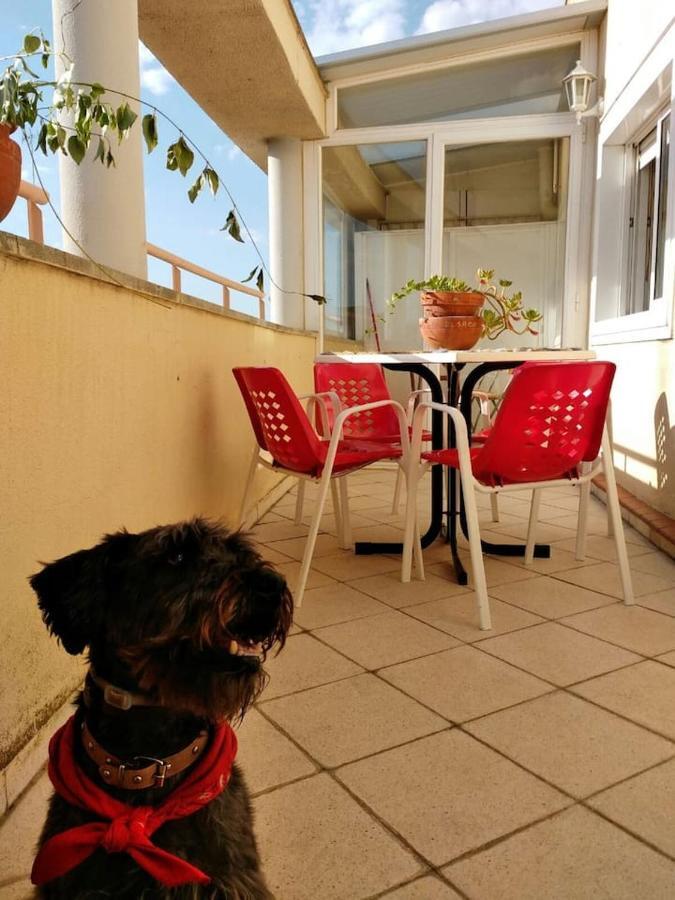 Apartment El Trastero *
